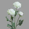 สีขาว