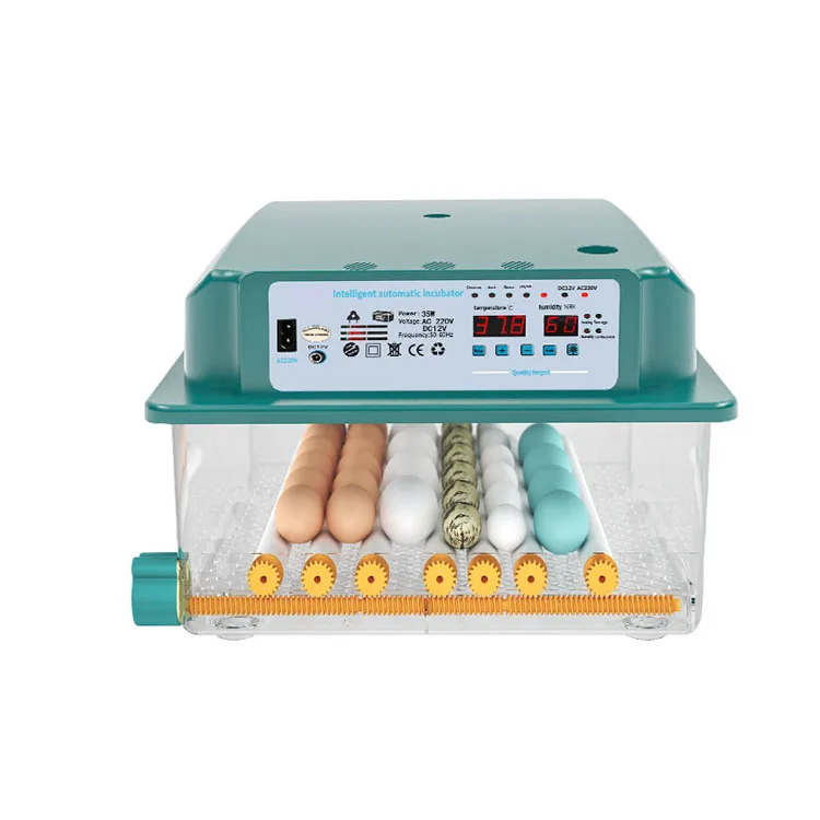 New Upgrade Dc Ac Power Mini Incubator 6 9 12 16 Eggs Incubator Kit for Sale in Uk