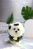 25cm white dog  with black decorations