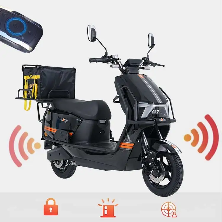 Fast Food Cargo Big power Electric Scooter