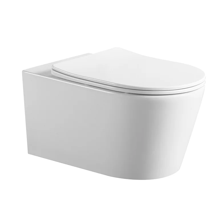 water-efficient ceramic toilet