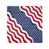 SNF-USA2
