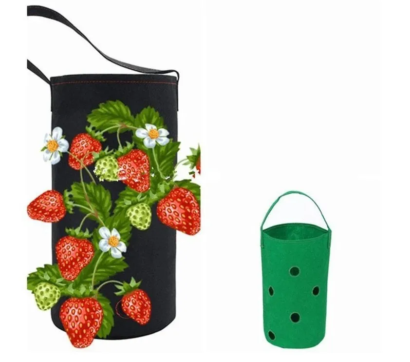 grow bag (1).JPG