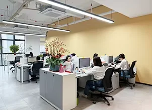 Xingyu Electron (guangdong) Co., Ltd.