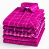 Fucsia
