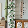 Pink French rose vine, 2.2 meters tall, with branches.