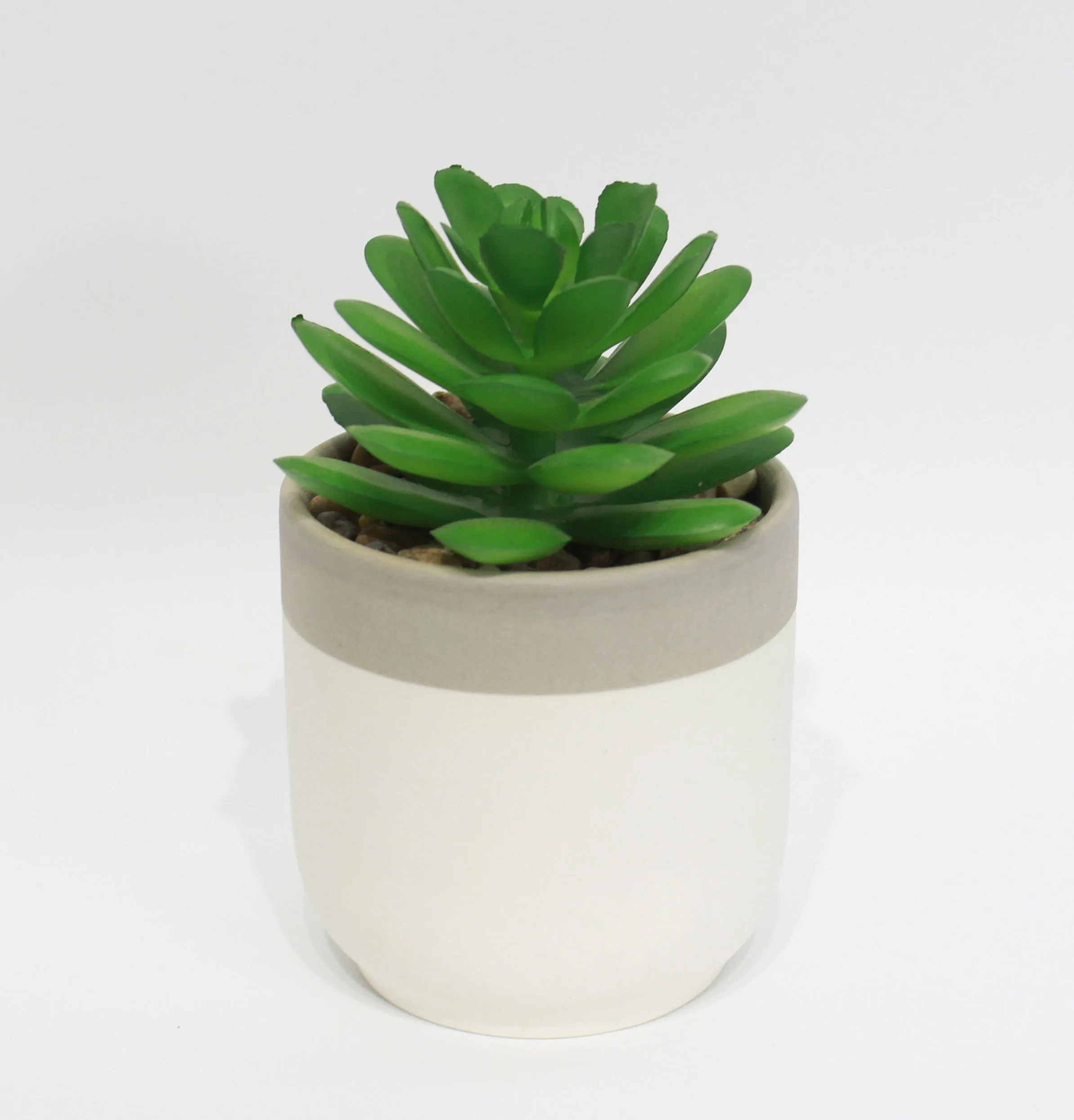 New Arrival Tooth Shaped Rustic Small Ceramic Succulent Planter