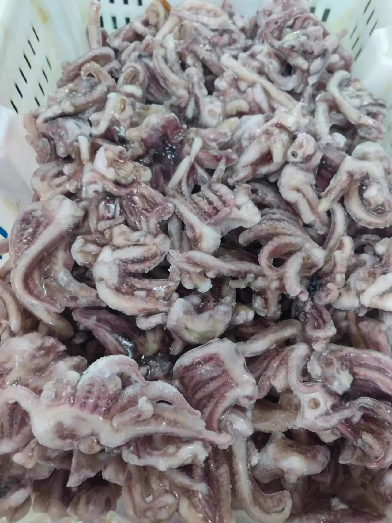 Высококачественные морепродукты IQF замороженный кальмар/кальмар с щупальцами на продажу