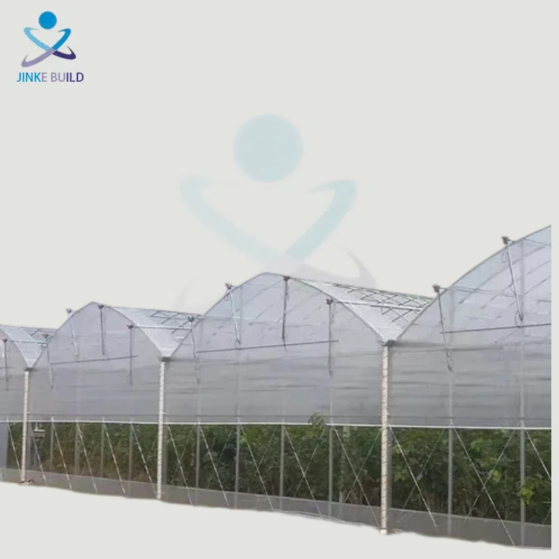 Modern Large Multi-Span Greenhouse Aluminum Frame Garden Greenhouse Polycarbonate Outdoor Greenhouses