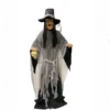 Bruja Animada