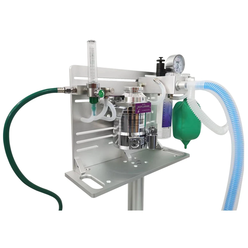 Hospital Medical Equipment Anesthesia Machine For Pet Buy Veterinary