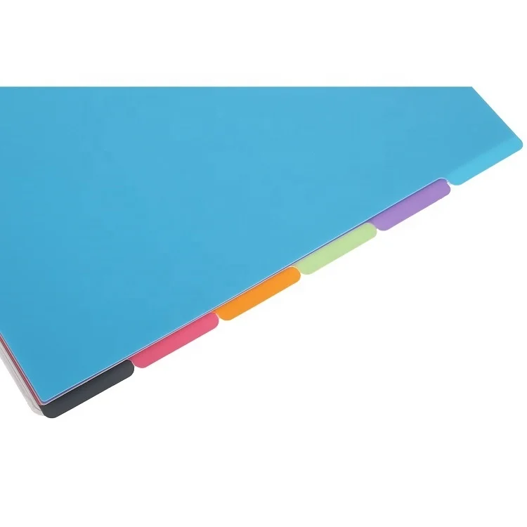 AFFISURE Assorted Color A4 Extra Wide 6 Part Plastic File Dividers with Blank Multicolor Tabs for Ring Binder