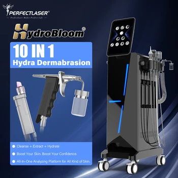 Perfectlaser 10 in 1 Hydra Dermabrasion Machine Shrink Pores Deep Cleaning Face Lifting Hydro Oxygen Jet Beauty Equipment Price