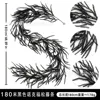 1.8-meter black Norfolk pine - 36 heads