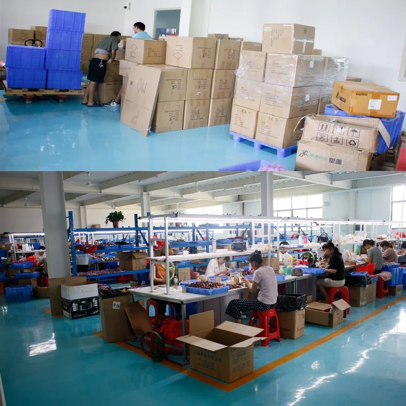 Hebei Canting Trading Co., Ltd.