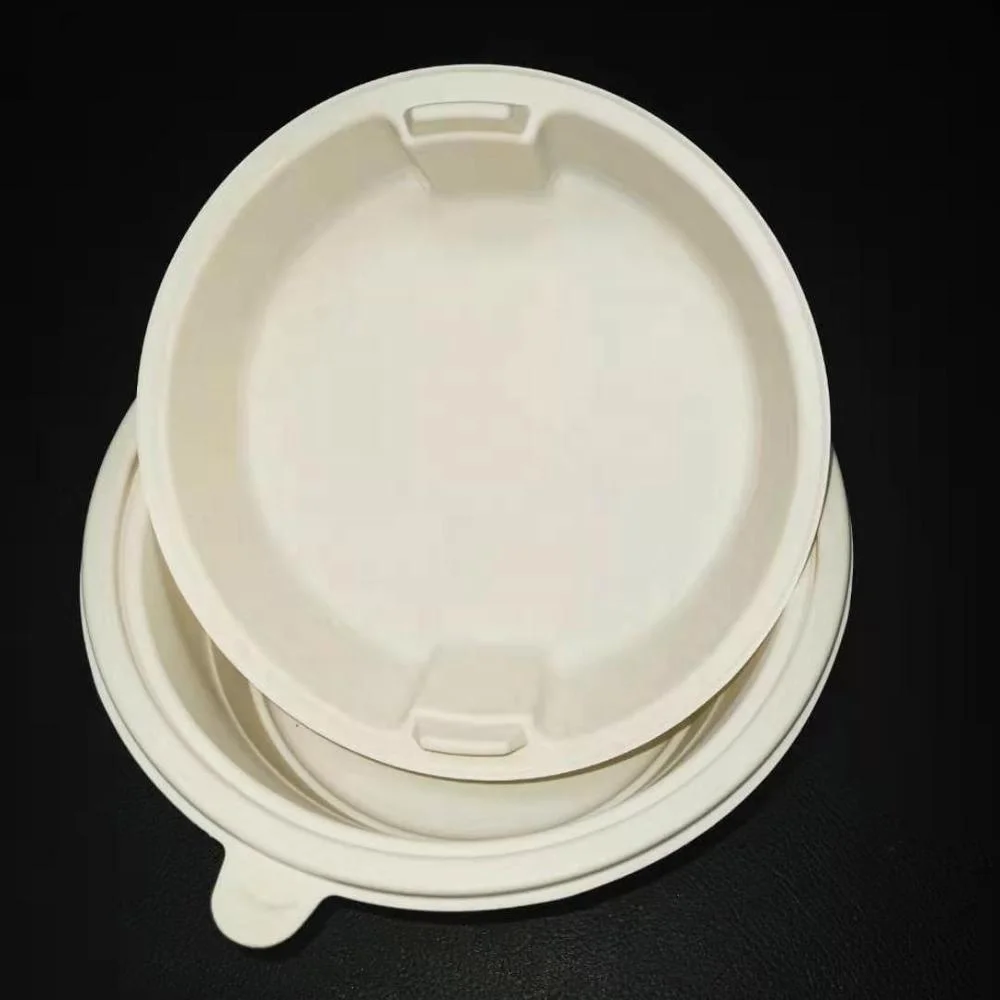 Biodegradable Dessert Bowl Disposable Food Bowls