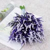 Purple1
