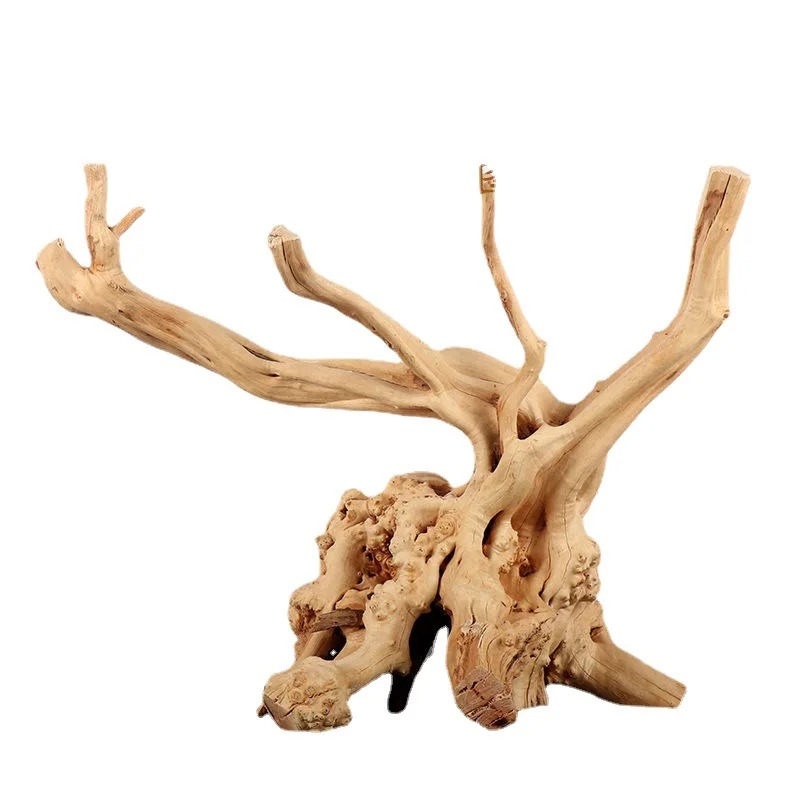 Just Fish Banglore - Genuine spiderwood (Driftwood) Available prices vary  per piece Only store pick up or delivery possible throughout Bangalore (Not  available in wholesale ) #justfishbangaluru #spiderwood #driftwood  #aquariums #aquascaping #hobby #