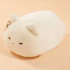 gato blanco