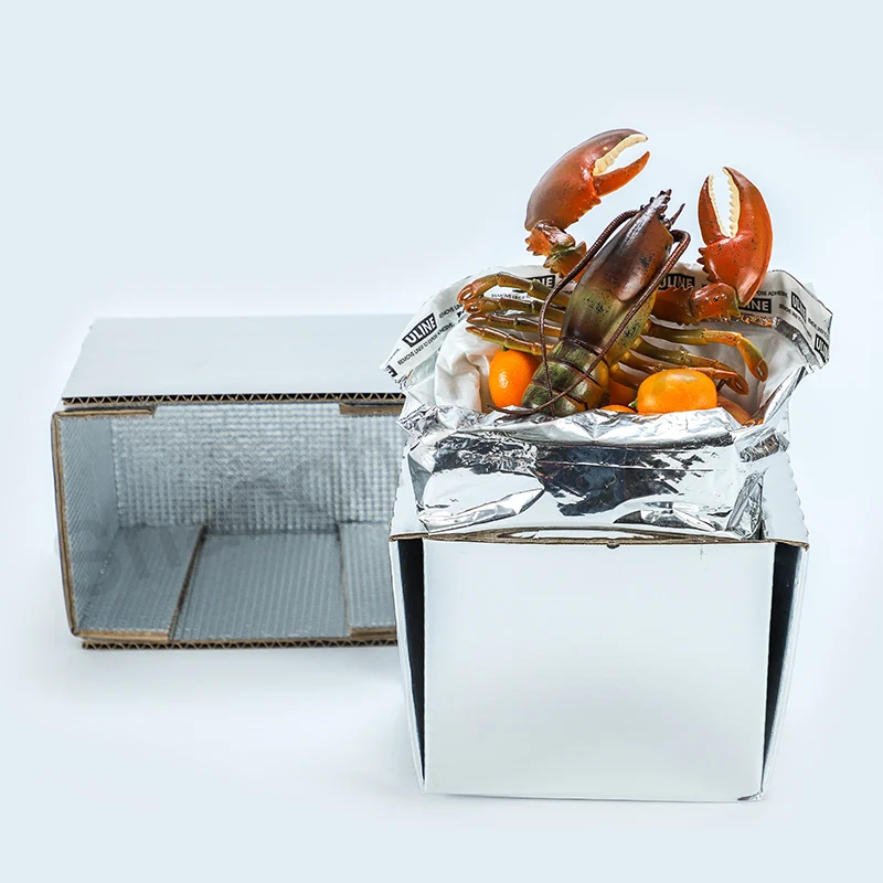 
Раствор для различных пищевых продуктов, цепочка для охлаждения, изоляционная коробка из алюминиевой фольги, сумка-холодильник 