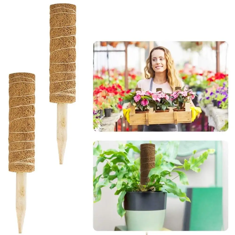 Bamboo poles natural coconut fiber support sticks for plant