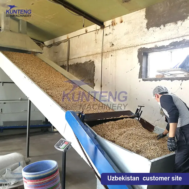Fully Automatic Processing Line for Sea Cucumber Food Bombay Duck Anchovy Dried Fish Shrimp Drying and Packing Machine Dryer