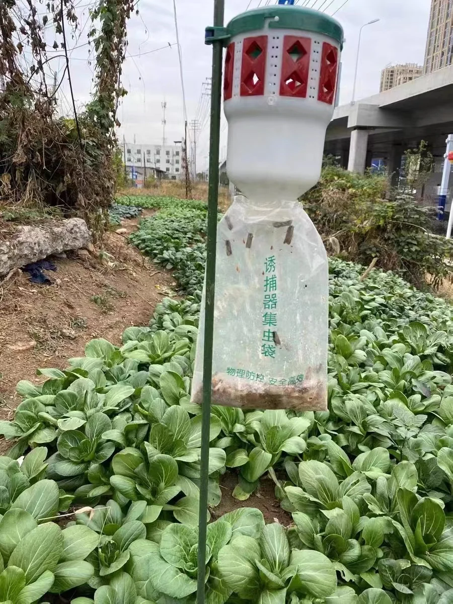 New Upgrade Effective Pheromone Moth Traps Hot Sale From Factory