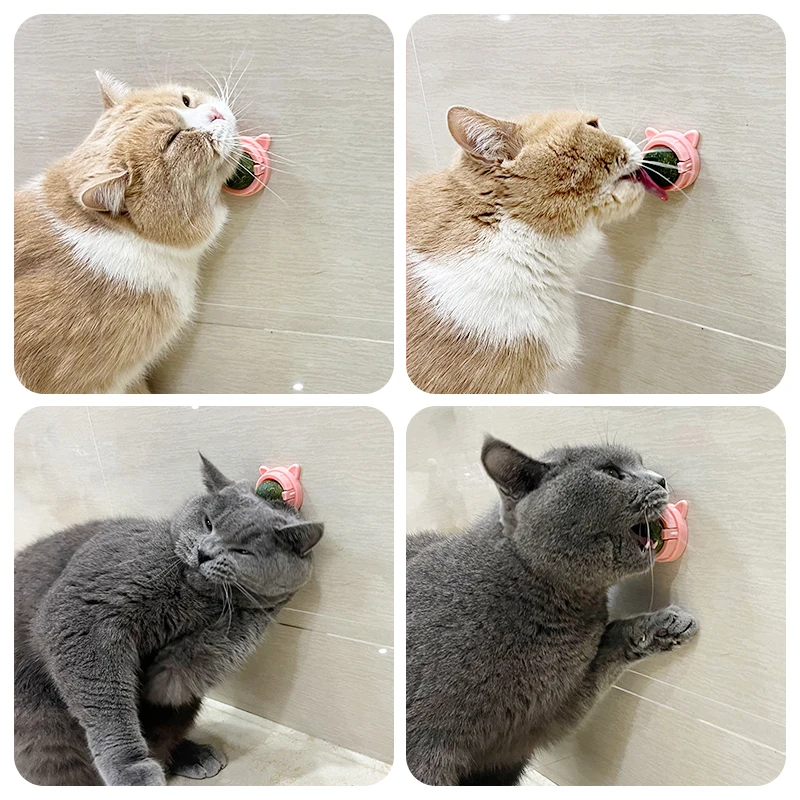 Hot Tiktok Selling Catnip Toys Pure Natural Catnip Ball Rotatable Cat