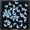 papillon3-5x3.1mm OP17