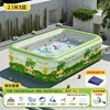 21m 3-story dinosaur pool, 302 wired core fast charging