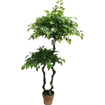 Ficus tree in pot refinement modelling plastic artificial ficus bonsai for garden home