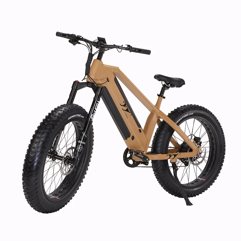 longest range ebikes