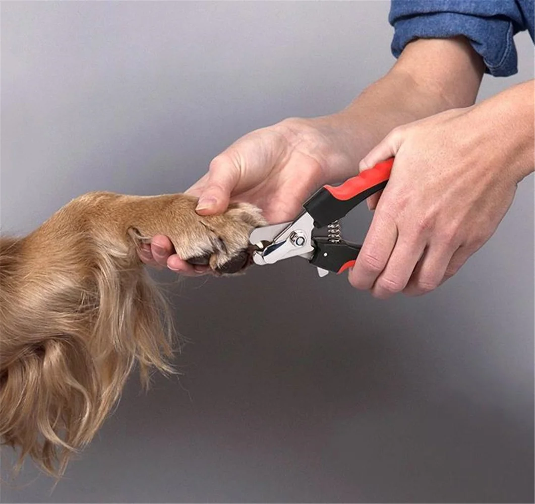 Как пользоваться триммером при стрижке собак