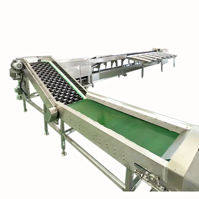 Avocado Automatic Citrus Clam Guava Chicken Bolt Candy mango Fruit Cleaning Sorting Machine