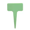Verde claro