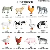 Set colorato da 12 pezzi KZ per pollame e animali