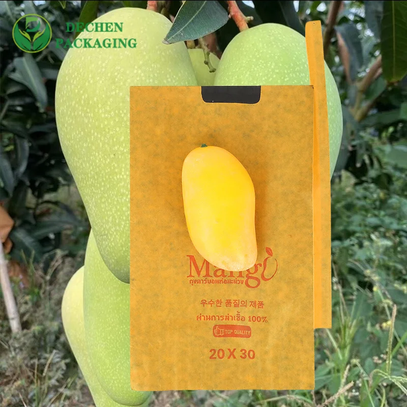 Sacs en papier nourriture vente chaude Protection des fruits mangue sac de culture protecteur pour les arbres