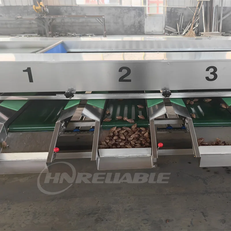 Blueberry Fruit Sorting Grading Machine with Motor Food Grade Stainless Steel 1-3 Tons/Hour Capacity