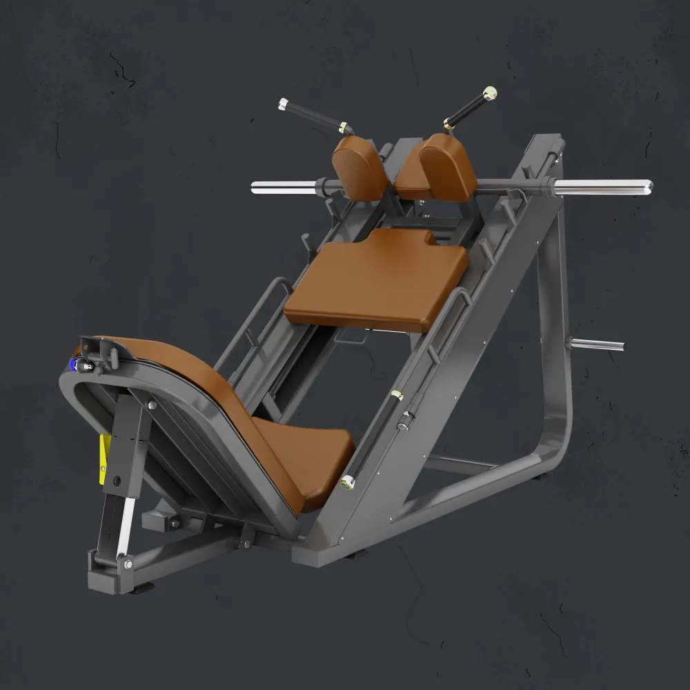 Power Trainer 2 in 1 Leg Machine Factory Price China Supplier Hack Squat and Leg Press Machine
