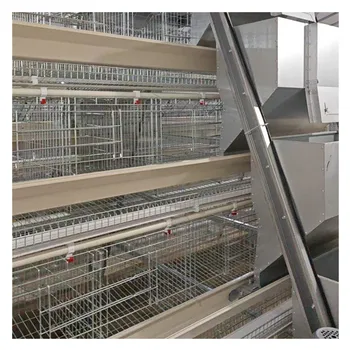 TIANRUI Automatic Layer Poultry Farming Equipment Battery Chicken Egg Layer Cage System Multifunctional Provided Shelter Chicken