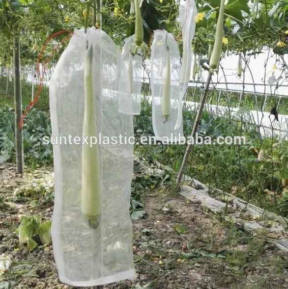 Details about   5/10/50/100 Garden Plant Fruit Protect Drawstring Net Bag Against Insect Pest 