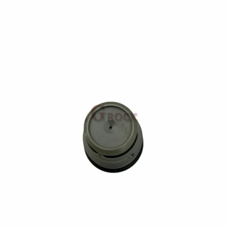 Common Rail Pressure Limiting Valve 1 110 010 028