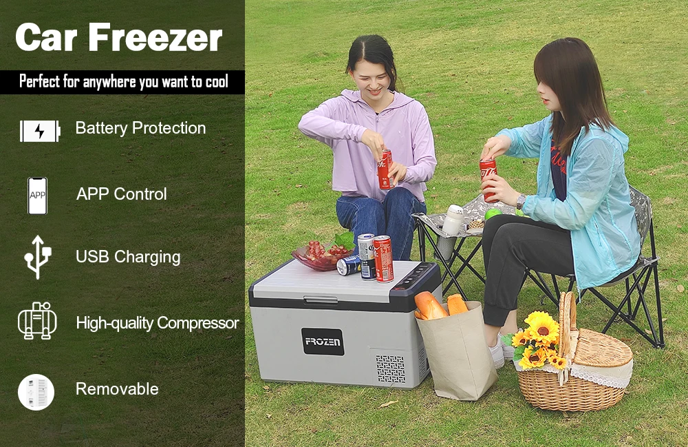Buy Frozen FC25 Camping Fridge/Freezer in South Africa – Camping