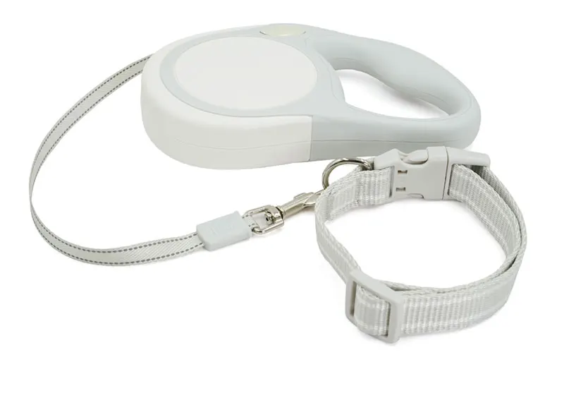 Retractable Dog Leash And Collars Adjustable Trendy Dog Leash Buy