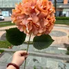 สีส้ม