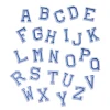single letter(pls make a note about the letter you need)