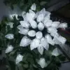 Cold White
