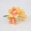 color naranja
