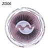 ZD06