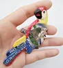 Parrots at Brazilian scenic spots